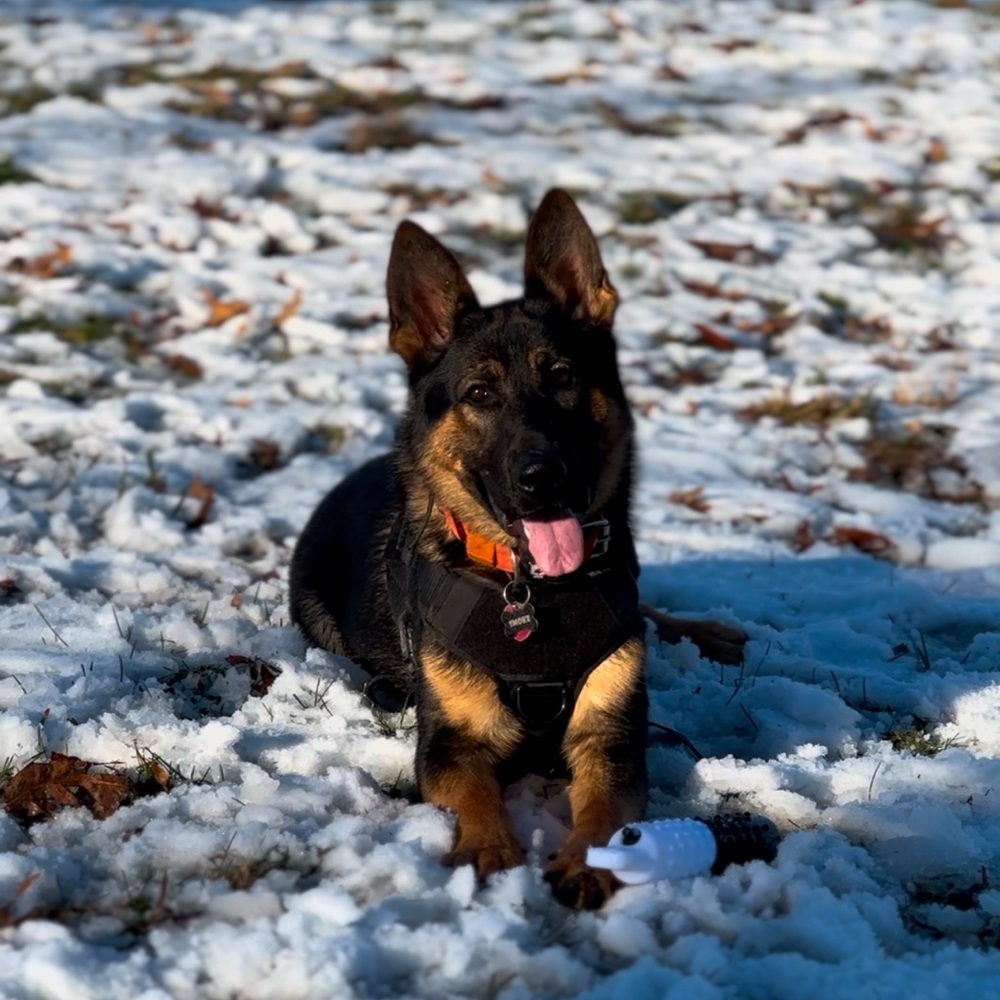 Meet your Posher, Taylor